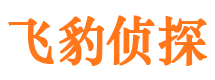 辉南市侦探公司